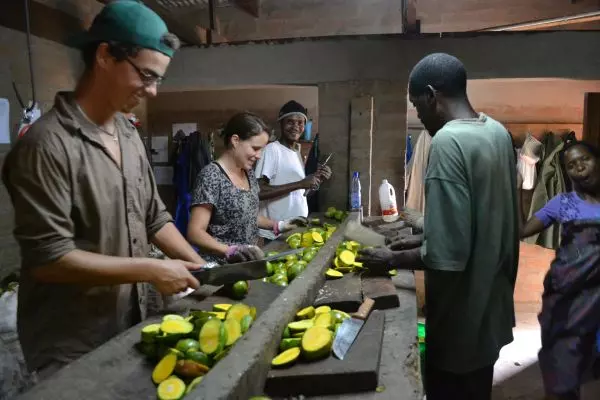 Food Prep & Animal Feeding @ Lilongwe Wildlife Centre