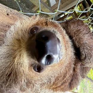 Meet Some of the Faces of Peru Wildlife Sanctuary