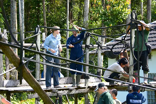 Construction at Nyaru Menteng Orangutan Sanctuary