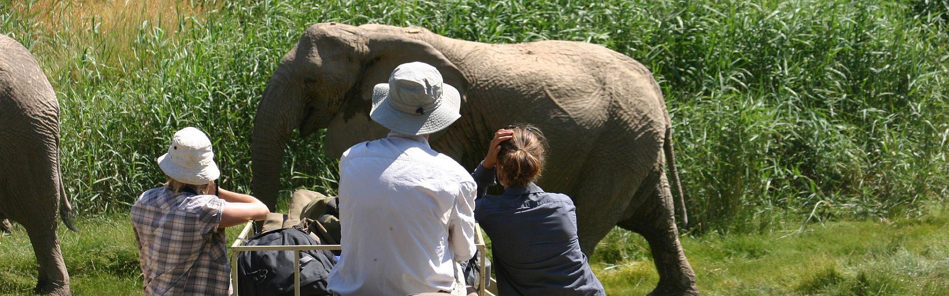 Wildlife Conservation Volunteer Projects