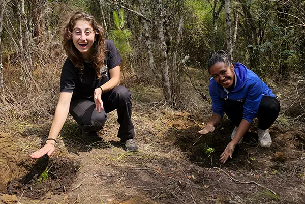 Volunteers Planting Trees - Lemur Research Project in Madagascar