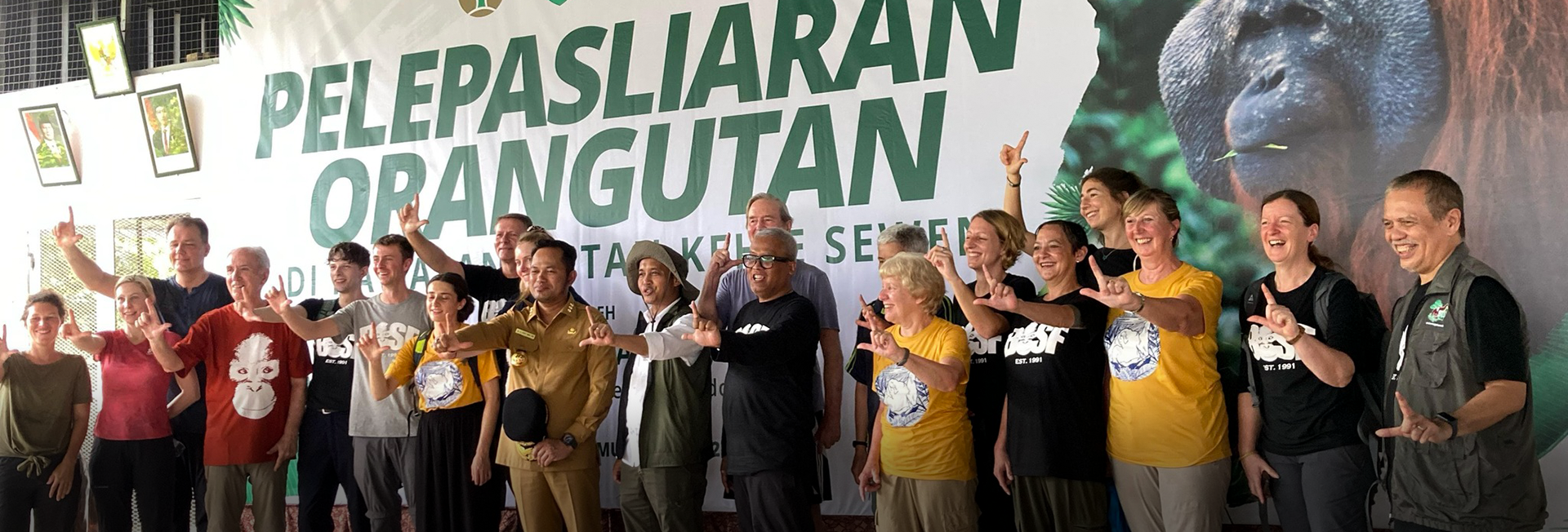 Watch Six Orangutans Take Their First Steps of Freedom