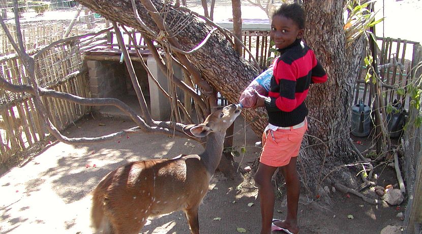 The Adventures of Marupi