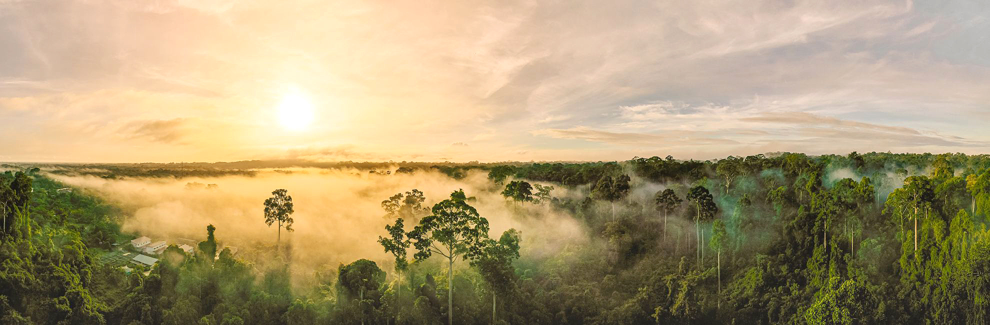 Volunteer Linda’s Costa Rica Turtle Adventure 