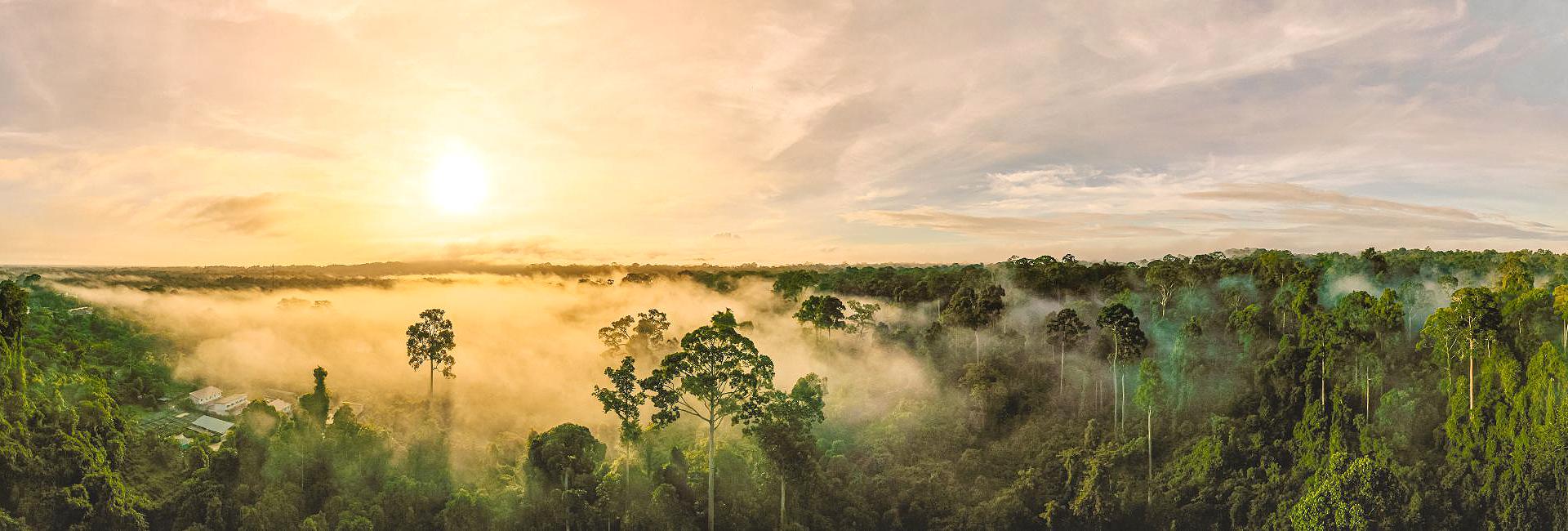 Update: Find Out The Latest From The Great Elephant Project In Sri Lanka!