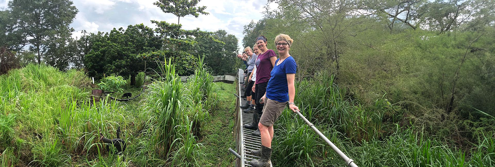 'Being so close and observing these beautiful creatures is truly magnificent...I felt privileged' - read Tanya's review of Samboja Lestari!