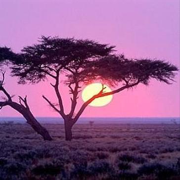 Top 5 Unmissable Attractions of Namibia