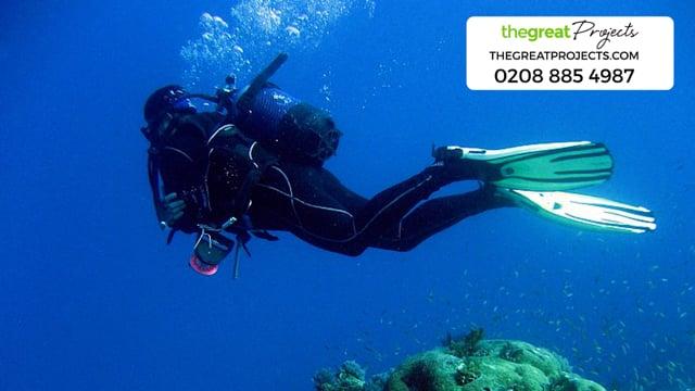 Marine Conservation Volunteering