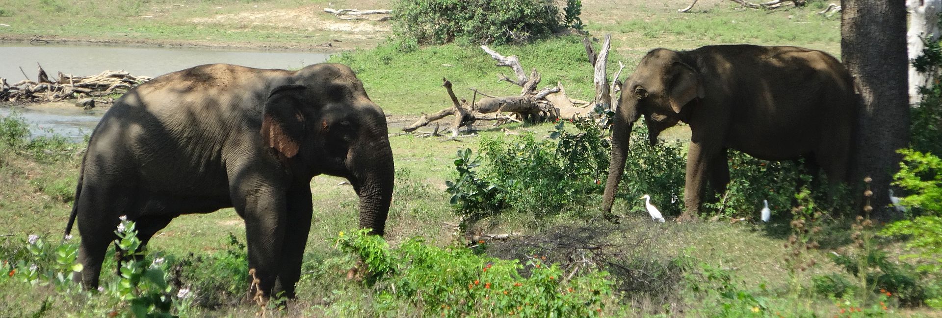 Which Projects Should You Visit In 2018? Check Out Our Top 4 Project Picks!