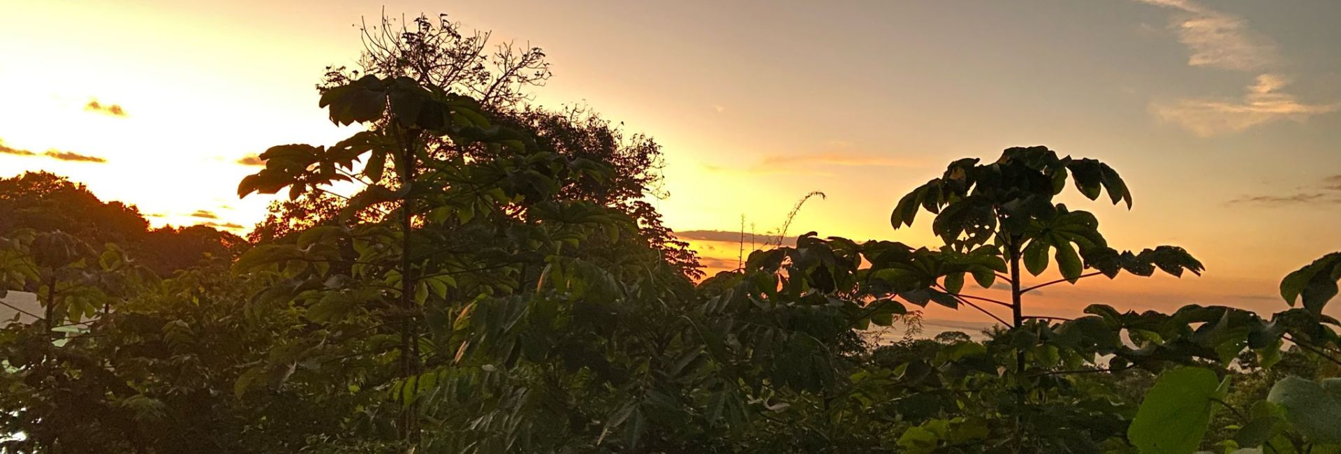 Return Volunteer Inge's Sloth Adventure