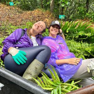 Gabriella's Samboja Lestari Orangutan Volunteer Experience