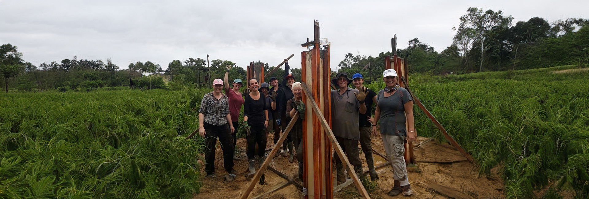 In Kate's Words... - An Update From Samboja Lestari