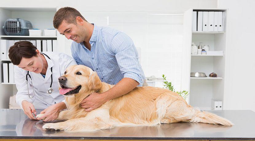 National Veterinary Technician Week!
