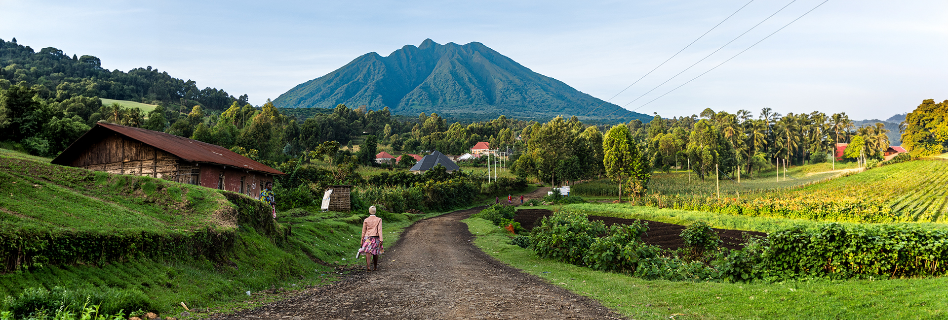 Uganda Gorilla Trekking Review: Adam’s Ultimate Wildlife Experience