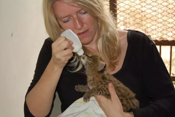 Orphaned Animal Care