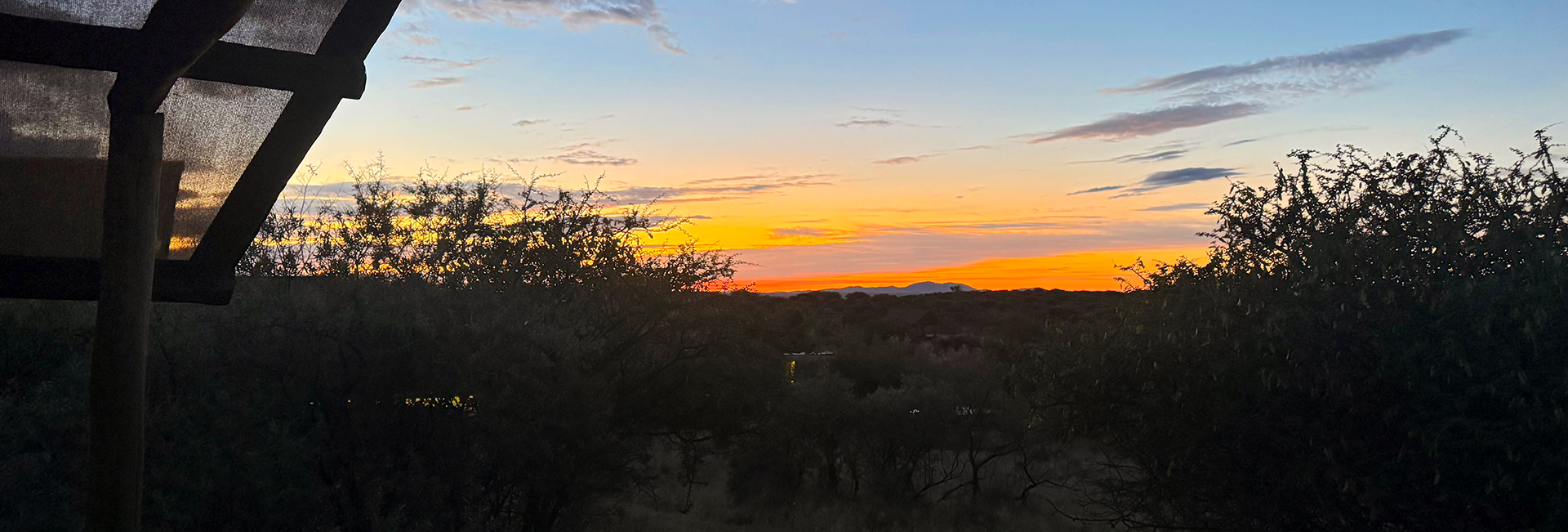 What It’s Really Like Volunteering at a Wildlife Sanctuary in Namibia - Puneet's Review