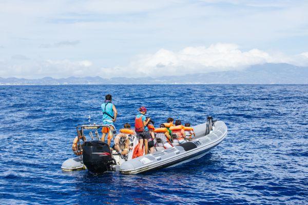 Volunteers on The Great Whale Project