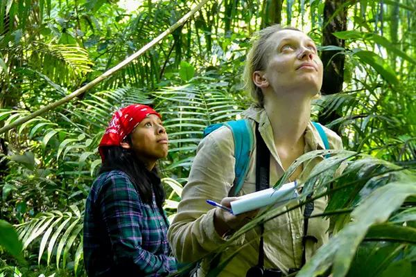 Mammal Transects