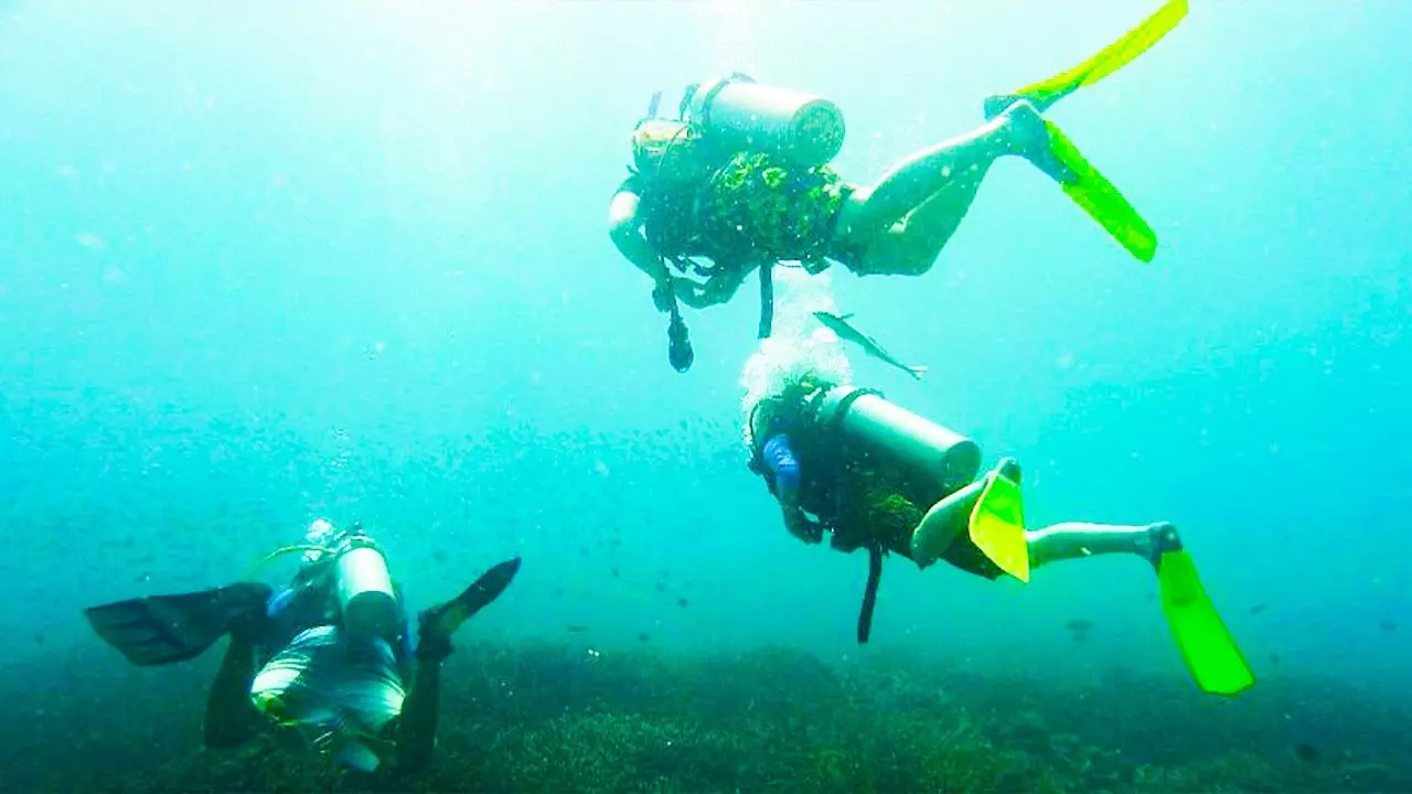 Discover The Perhentian Islands Marine Project!