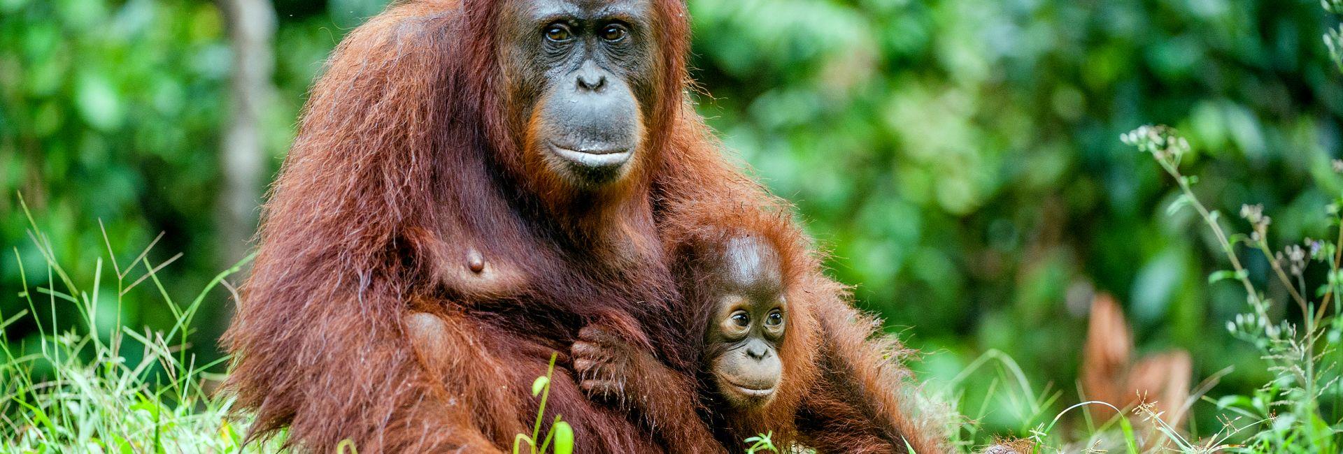 Endangered Species Day Celebrates It's 45th Anniversary!