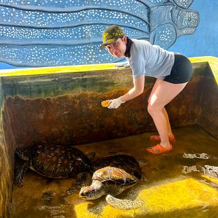 Tabitha’s Experience at The Great Turtle Project!