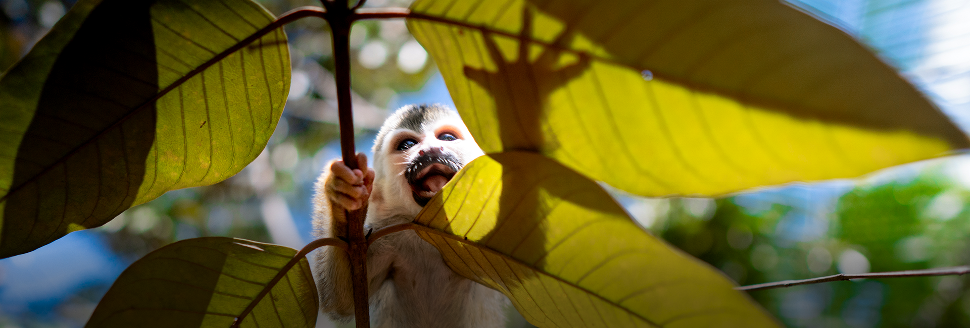 Essentials for Volunteering in the Rainforest!