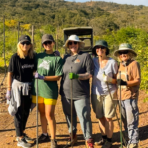 Julie Malley’s Conservation Adventure in Victoria Falls