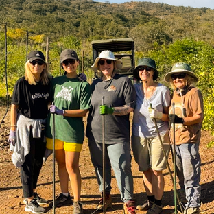 Julie Malley’s Conservation Adventure in Victoria Falls