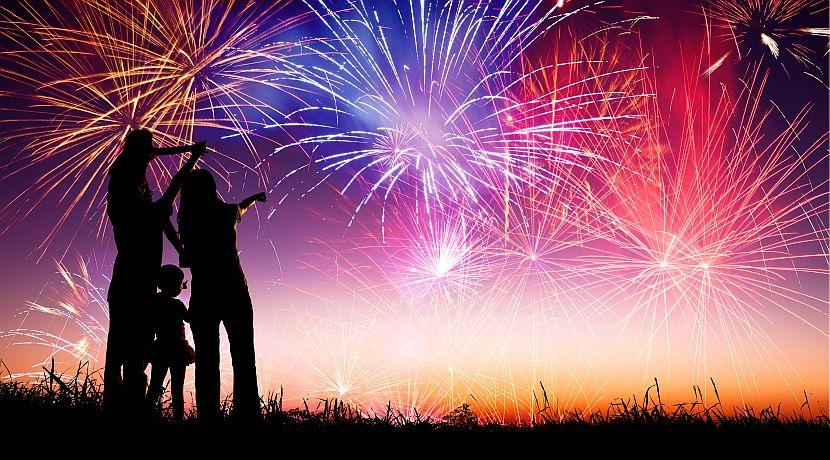 Bonfire Night - How To Look After Your Pet On This Frightening Night