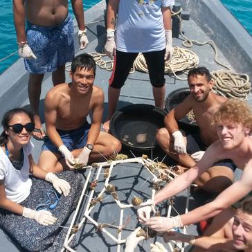 Maldives Conservation Project