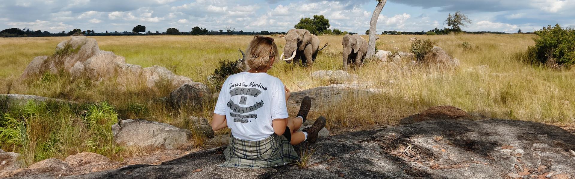 Animal Volunteering Holiday
