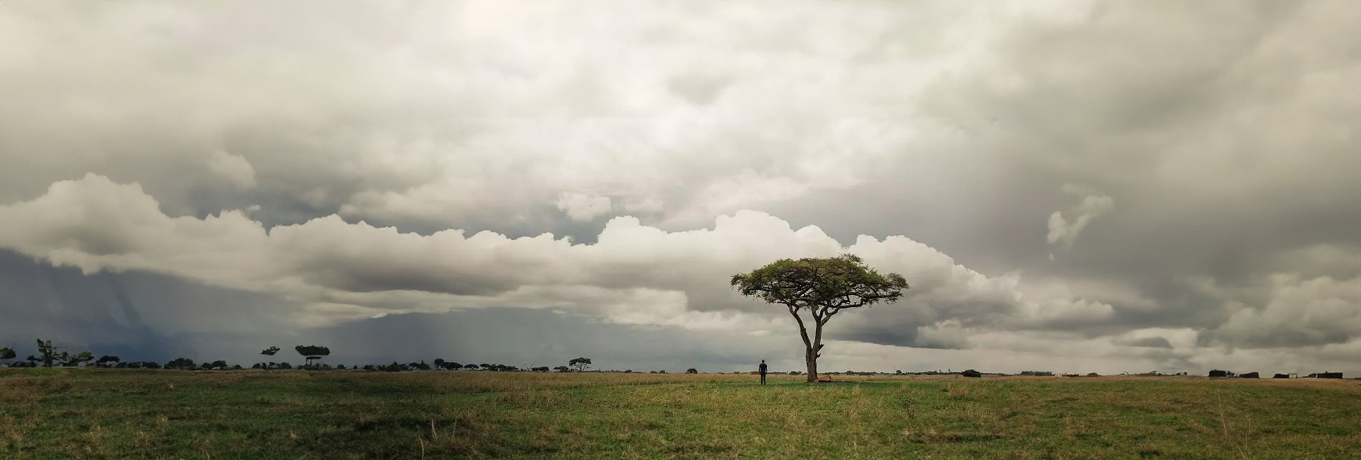 A Picture Update From The Rhino And Elephant Conservation Project!