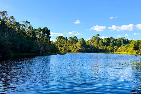 Lake by the Field Research Station - Lemur Research Project in Madagascar