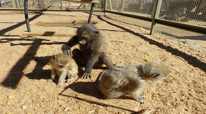 Nikita in Namibia - Day 7