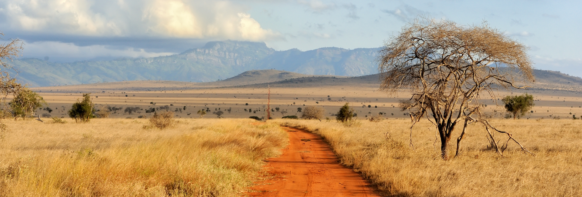 The Team Returns - James & Lauren's South Africa Experience