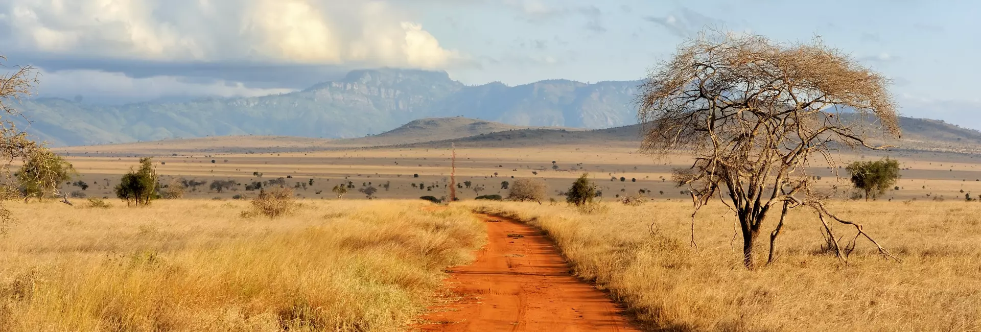 My Namibian Experience As A Mature Volunteer