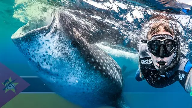 Volunteer in Mozambique 2024