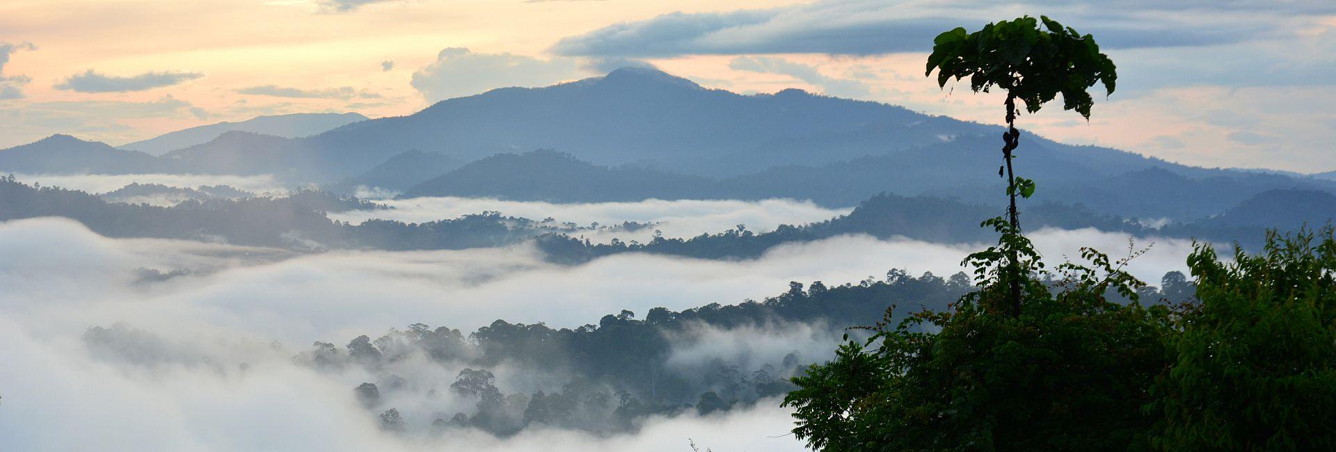 Working in Indonesia