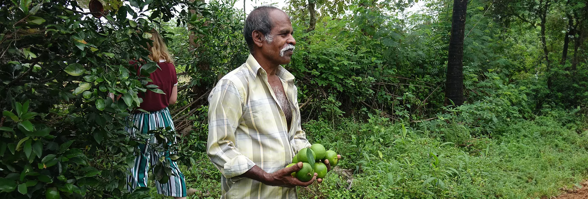 The Great Elephant Project Reaches Milestones With The Help Of Oranges!