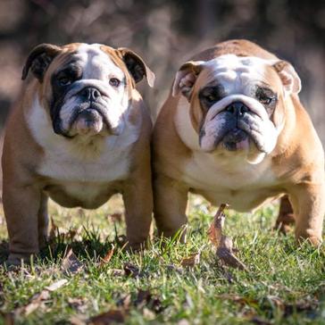 National Look Alike Day - Number 4 Is Practically Identical! 