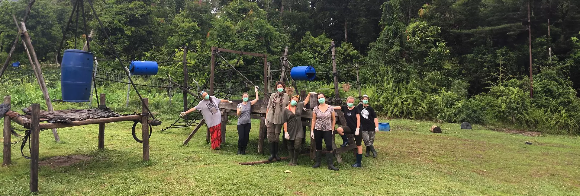 Volunteer Bambi's Experience at Nyaru Menteng