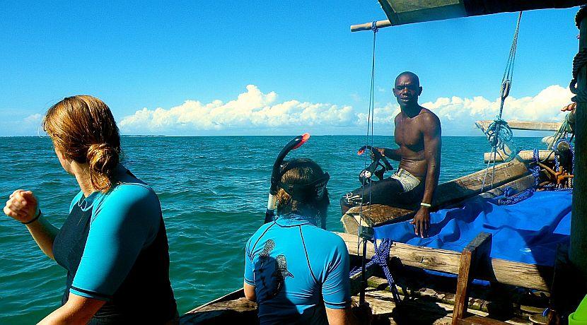 Mafia Island Whale Shark Project - A Volunteers Review!