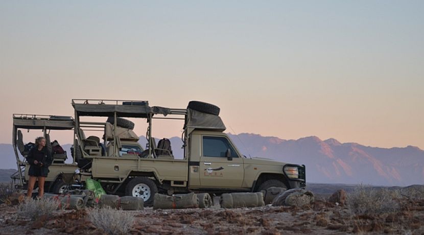 Patrol week with the Desert Elephants