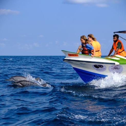 Sri Lanka Marine Conservation Project