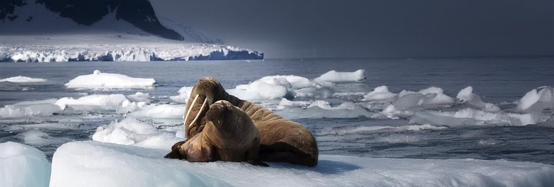 Up In The Air, And Into The Blue - October’s News In Review