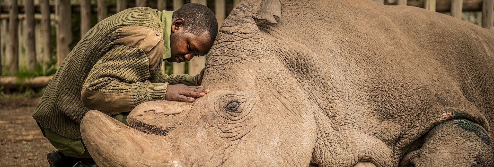 The Species Which Went Extinct in 2018 - And The Ones We Could Be Set To Lose