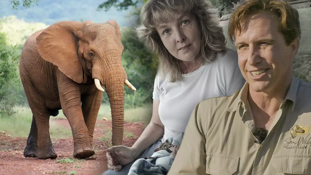 SanWild Sanctuary and Reserve - The Story of SanWild