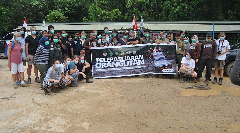 An Orangutan Release In Pictures - See How The 7 Orangutans At Samboja Were Released!