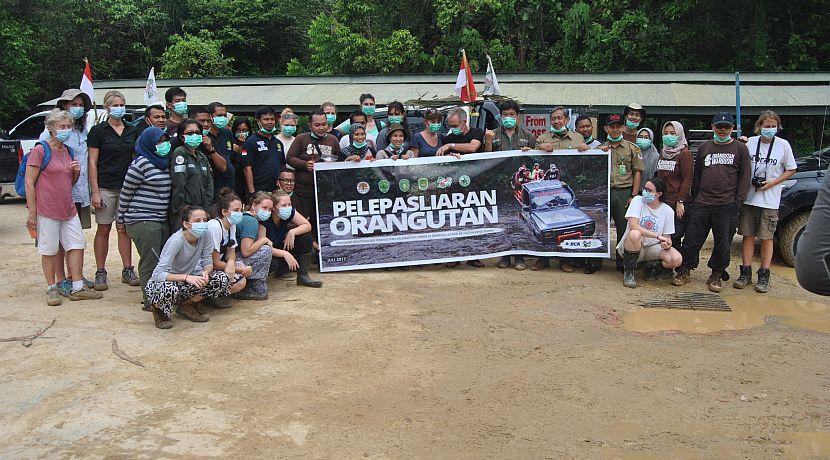 An Orangutan Release In Pictures - See How The 7 Orangutans At Samboja Were Released!