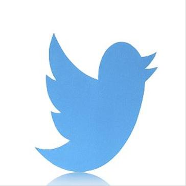 Our Top 8 Animal Conservation Twitter Accounts